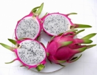 Fruits